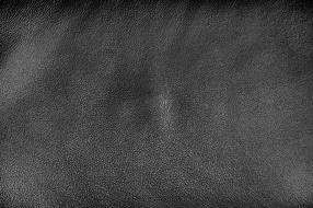 Leather Texture Dark