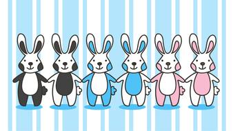 rabbit bunny hare animal cute