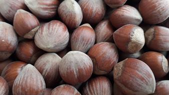 ripe hard nuts