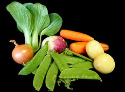 different ripe vegetables
