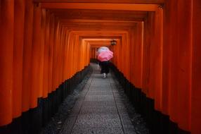 Kyoto Tourist Destination After