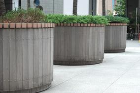 wooden pots with plants in the park