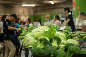 Fresh vegetables at the supermarket