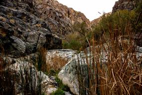 Darwin Falls Death Valley Desert