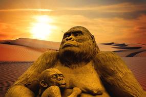 Monkey Desert Sunset