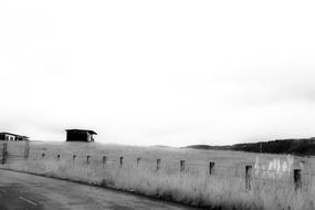 House Grass Landscape