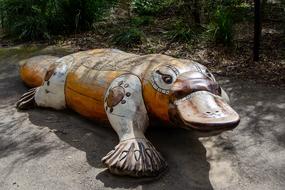 Platypus Mammal Monotreme Wooden