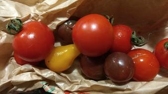 tasty tomatoes in cardboard paper