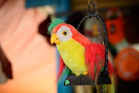 Bird Yellow Red