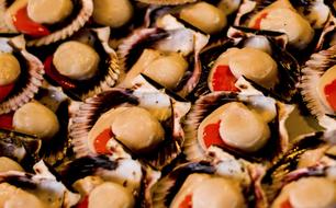 delicious seafood desserts