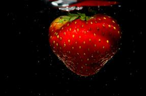 red strawberries in water