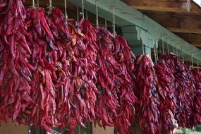 hot chili peppers hanging in the market