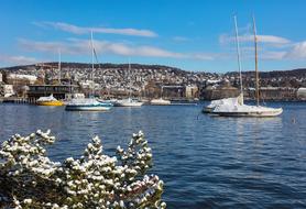 Zurich lakeside View