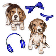 beagle dog animal race puppy
