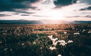 Vosges Sunset Hiking