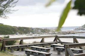 Beach Nature Summer