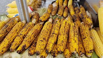 roasted sweet corn