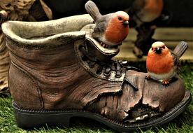 Robin Shoe Boot
