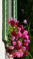 House Window Shutters