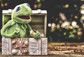 Kermit Frog Chest
