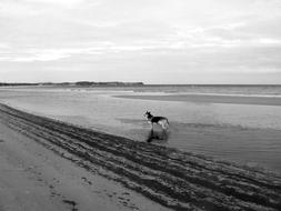 Baltic Sea Boltenhagen Panorama