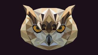 owl animal birds night wallpaper