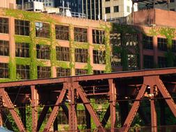 Bridge Building Chicago