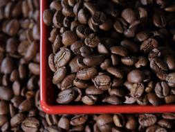 roasted coffee aromatic beans