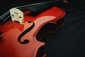 Violin Design