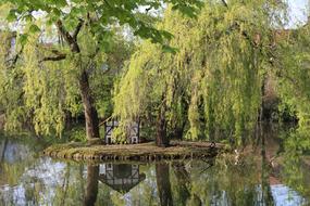 Duck Pond Spa Garden