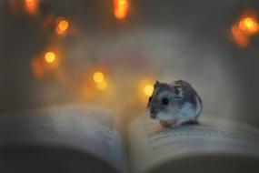 Hamster Book Lights