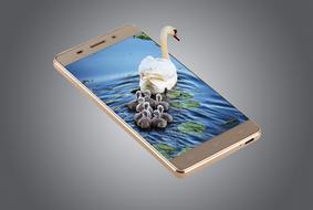 Phone Smartphone Water