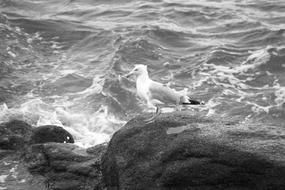Body Of Water Sea Ocean