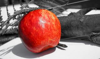 Red juicy apple on a black and white background