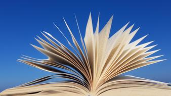 fan with open book