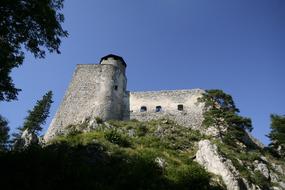 beautiful old castle in the trees