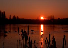 Sunset Sun Landscape