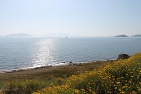 Beach Marine Nature Body Of