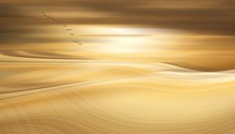 Golden Panorama Texture