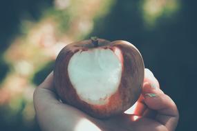 bitten apple in his hand