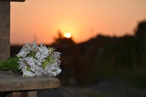 bouquet of flowers against the sunset