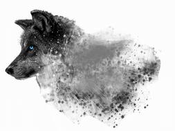 dog canine desktop animal wolf