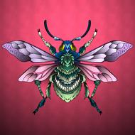 bugs insect bug nature wildlife