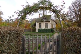 Tree House Wood