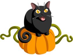 cat pumpkin halloween black