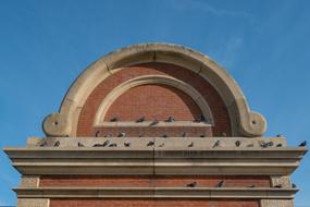 Plinth Pigeon Brick