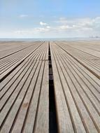 Sea Beach Wood