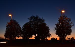 Sunset Blue Hour Trees