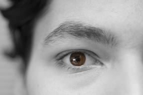 Portrait of brown eye face