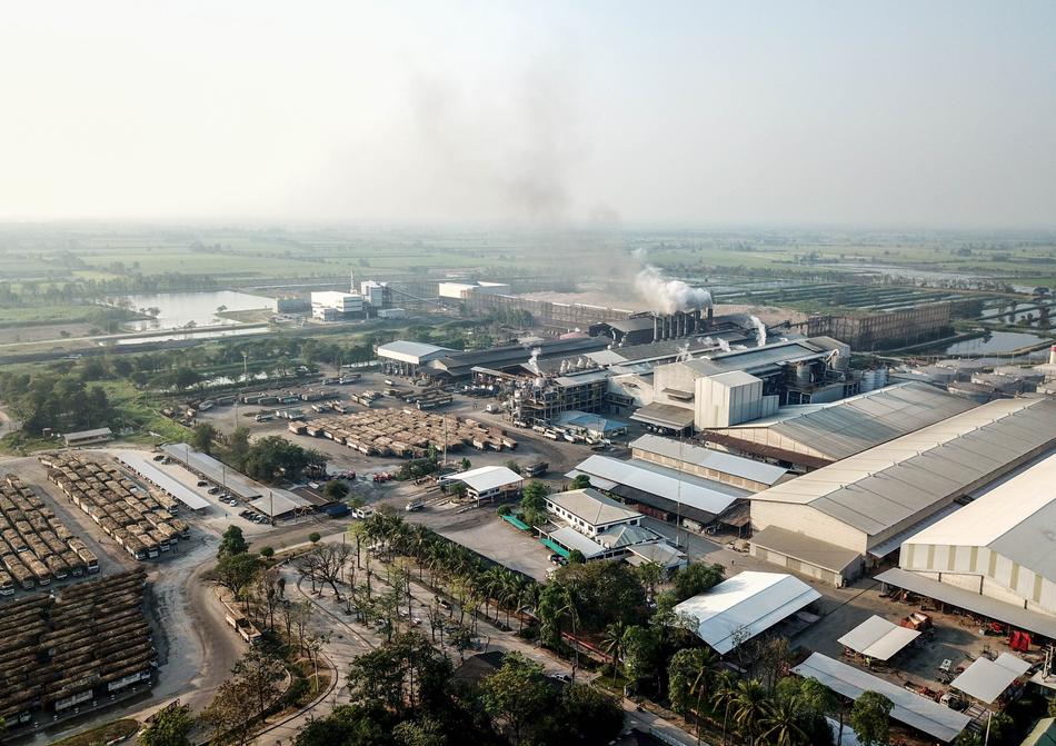 Industrial landscape with sugarcane agriculture, with the buildings